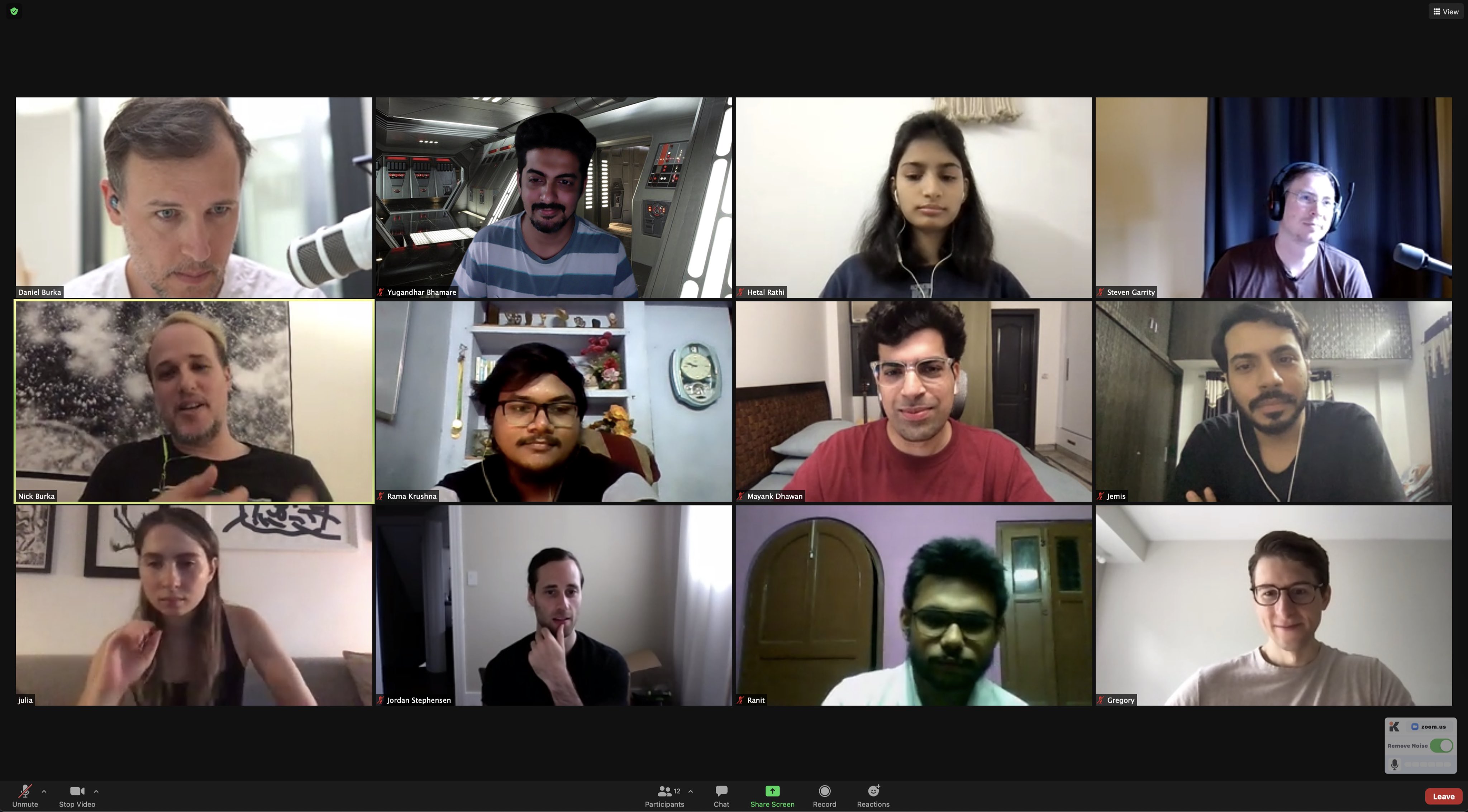 A Zoom meeting with other members of the Health Icons project